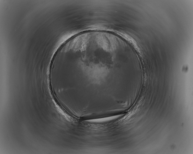 X0000097921231200803281419