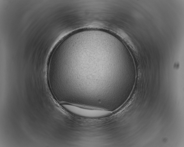 X0000097921232200803281419