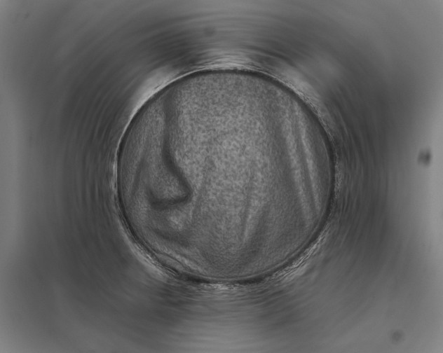 X0000097921234200803281419