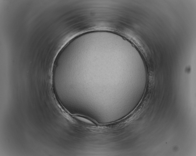 X0000097921236200803281419