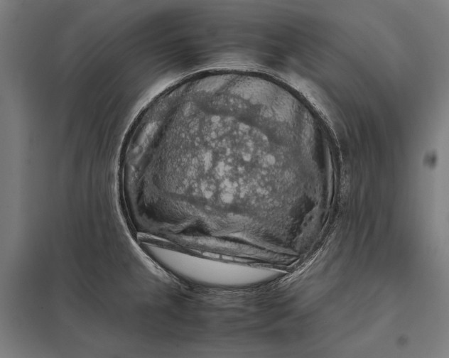 X0000097921237200803281419