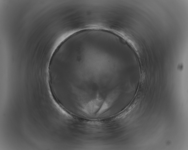 X0000097921239200803281419