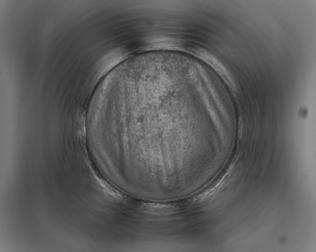 X0000097921241200803281419