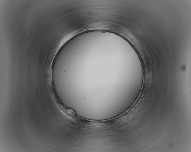 X0000097921242200803281419