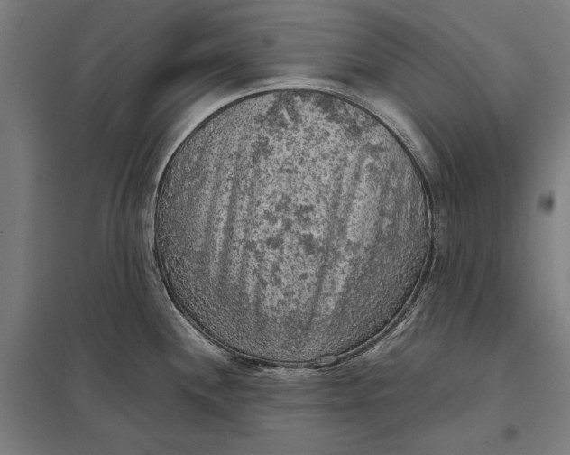 X0000097921244200803281419