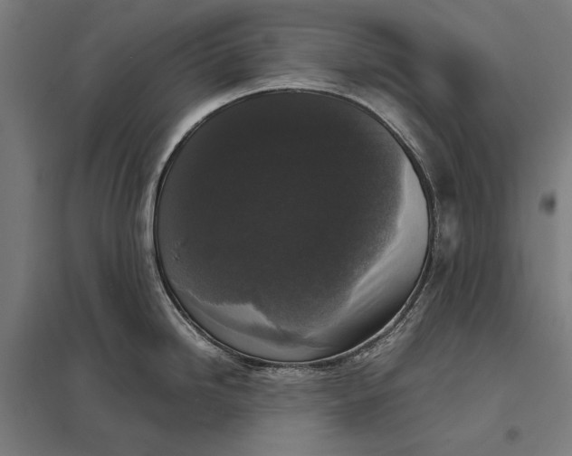 X0000097921246200803281419