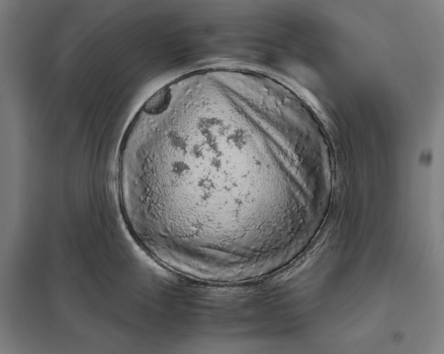 X0000097921247200803281419