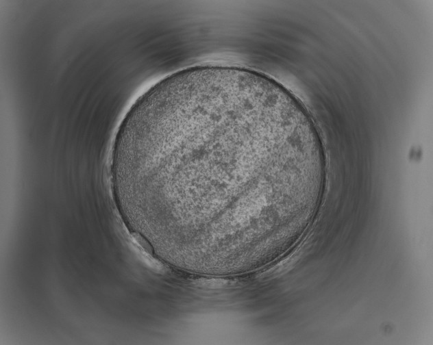 X0000097921248200803281419