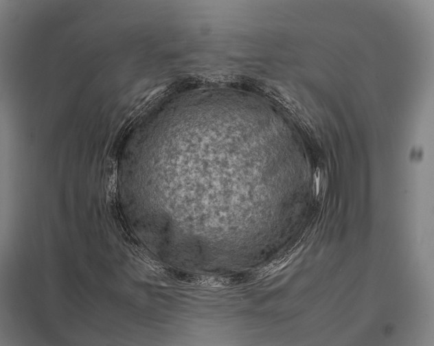 X0000097921251200803281418