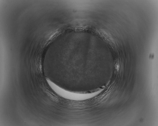 X0000097921252200803281418