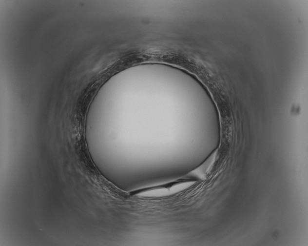 X0000097921253200803281418