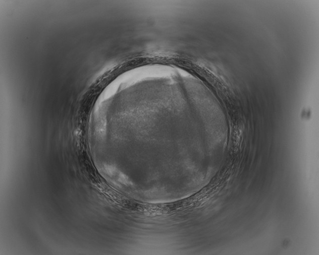 X0000097921254200803281418