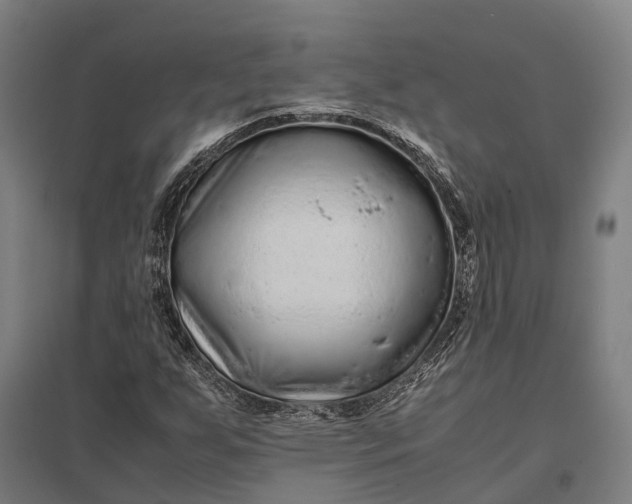 X0000097921255200803281418