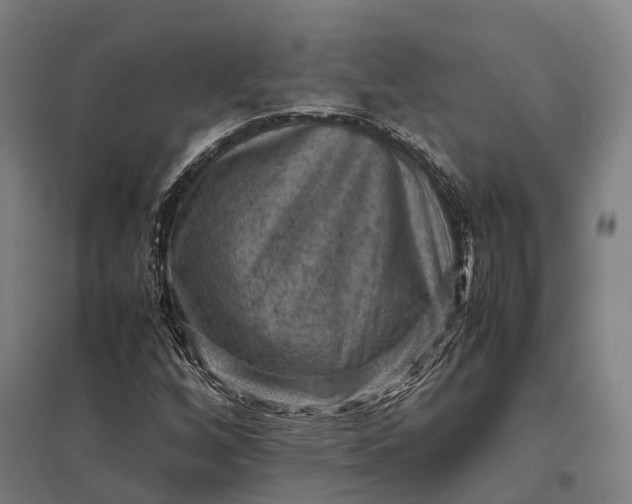 X0000097921256200803281418