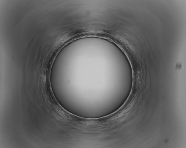 X0000097921257200803281418