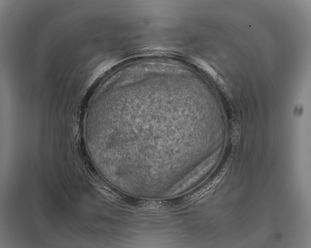 X0000097921259200803281418