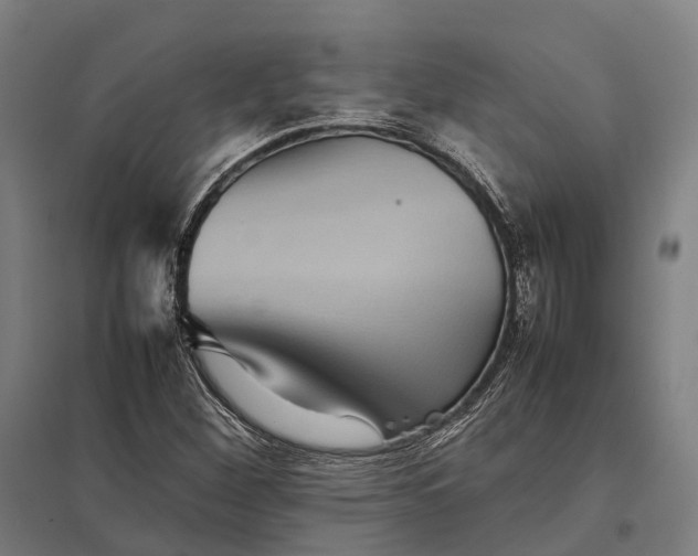 X0000097921260200803281418