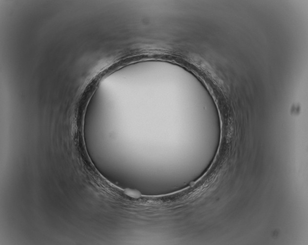 X0000097921261200803281418