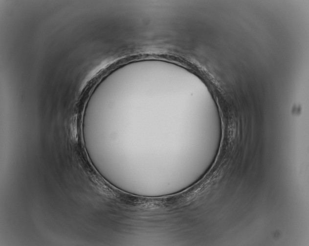 X0000097921262200803281418