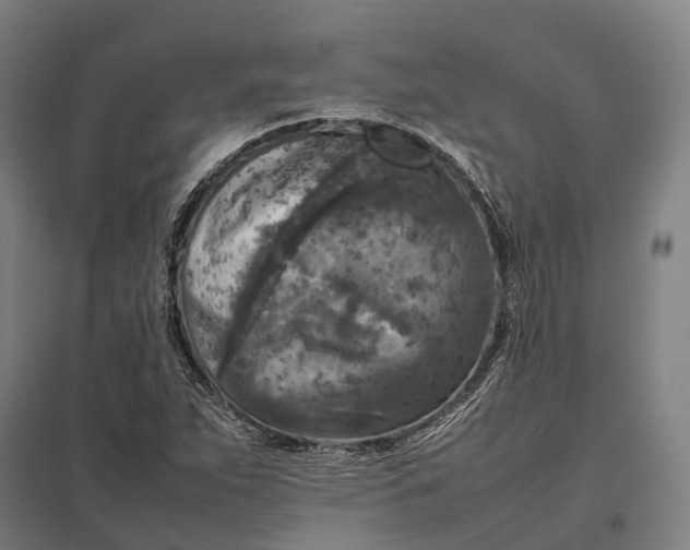 X0000097921263200803281418