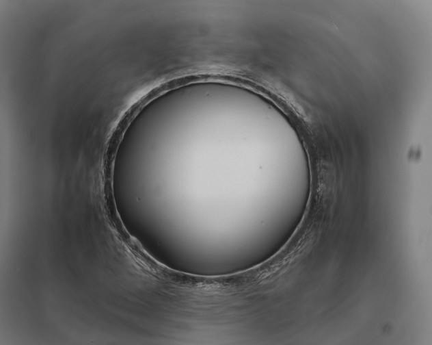 X0000097921264200803281418