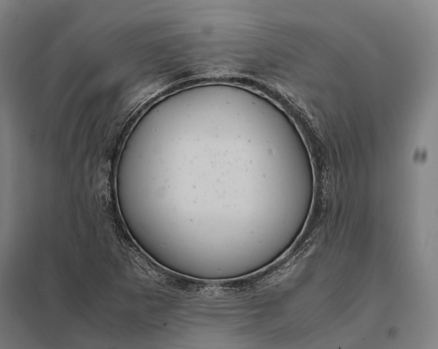 X0000097921265200803281418