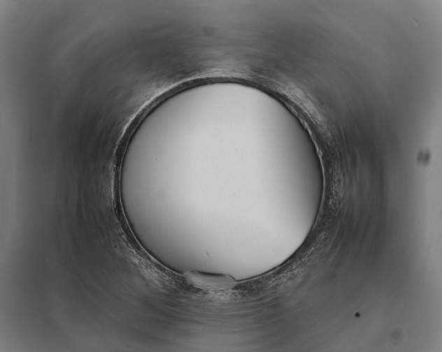 X0000097921268200803281418