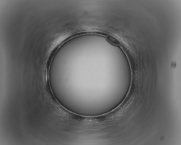 X0000097921269200803281418