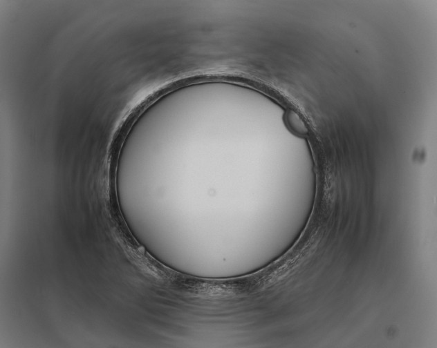 X0000097921270200803281418