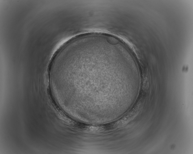 X0000097921271200803281418