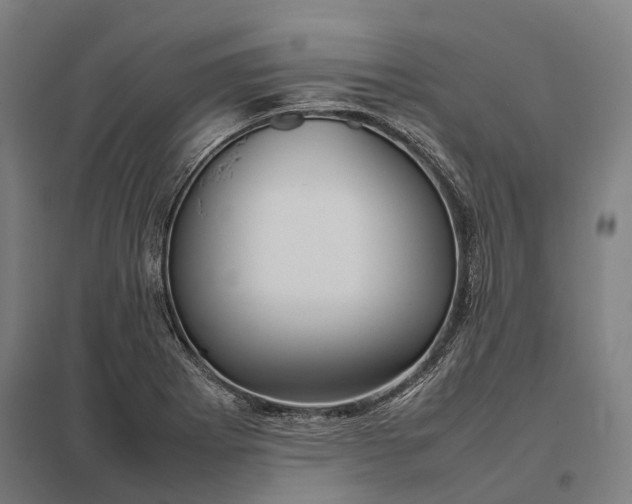 X0000097921273200803281418