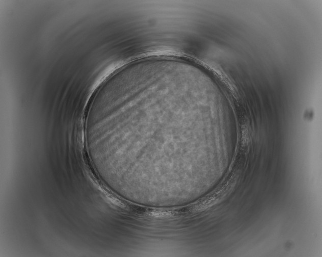 X0000097921274200803281418