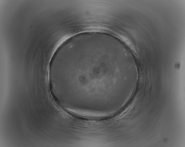 X0000097921275200803281418