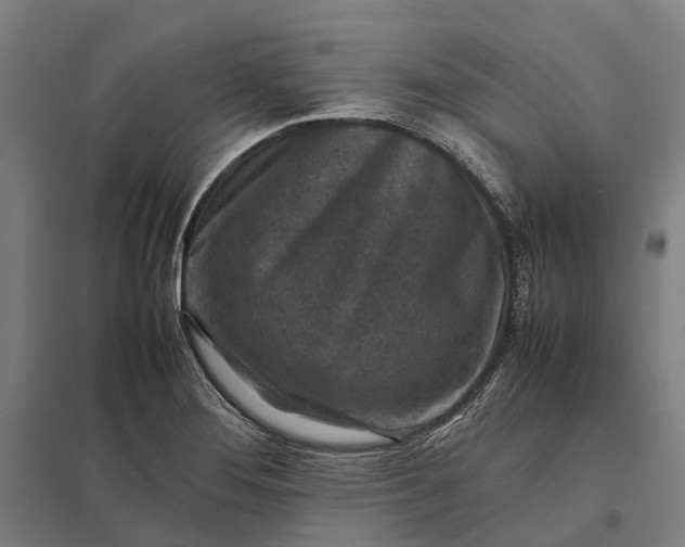 X0000097921276200803281417