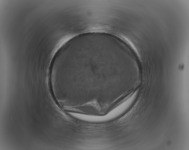 X0000097921277200803281417