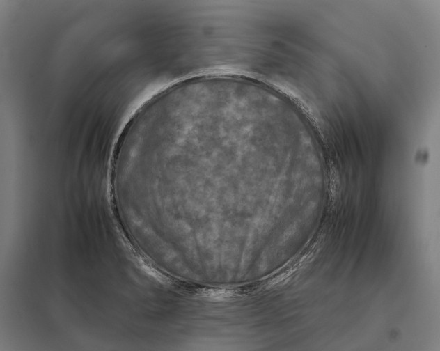 X0000097921278200803281417