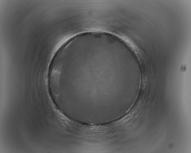 X0000097921279200803281417