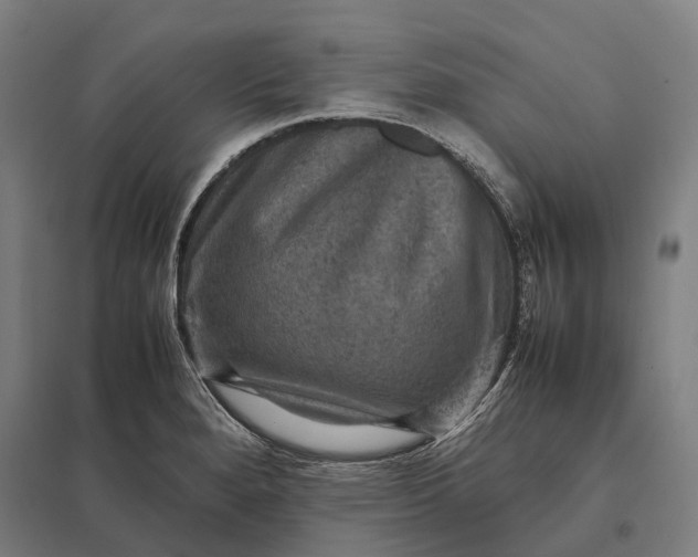 X0000097921280200803281417