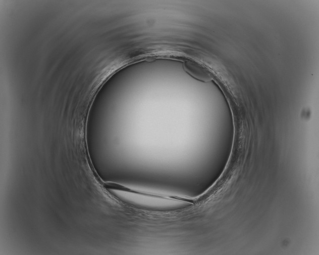 X0000097921281200803281417