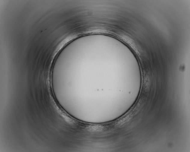 X0000097921282200803281417