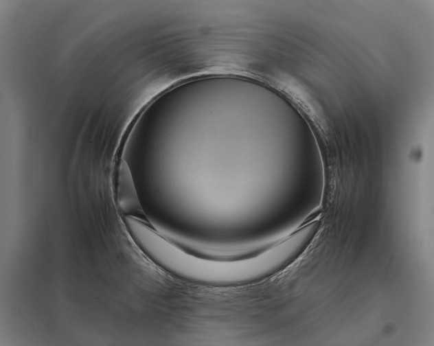 X0000097921284200803281417