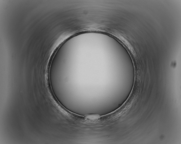 X0000097921285200803281417