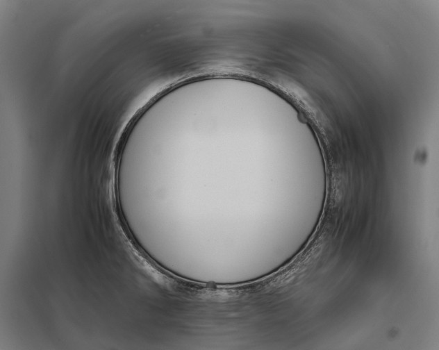 X0000097921286200803281417