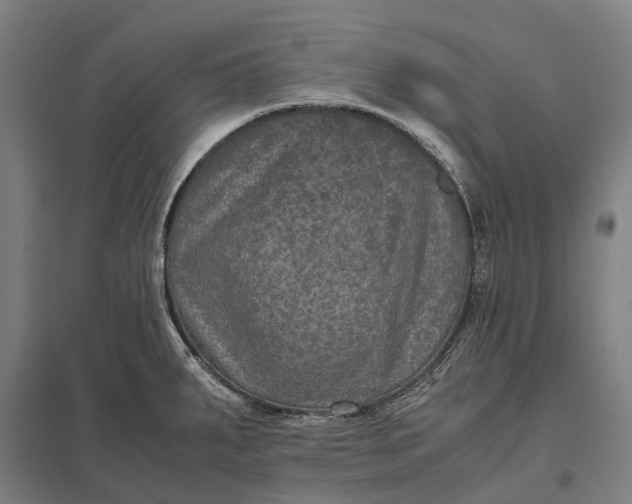 X0000097921287200803281417