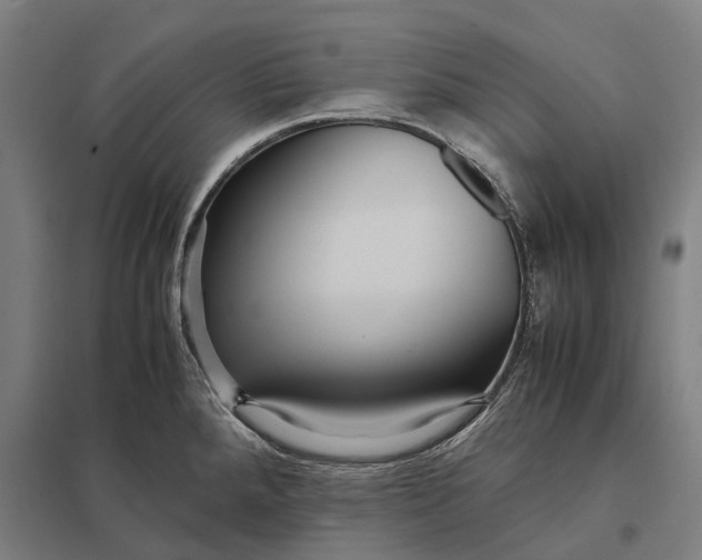 X0000097921288200803281417