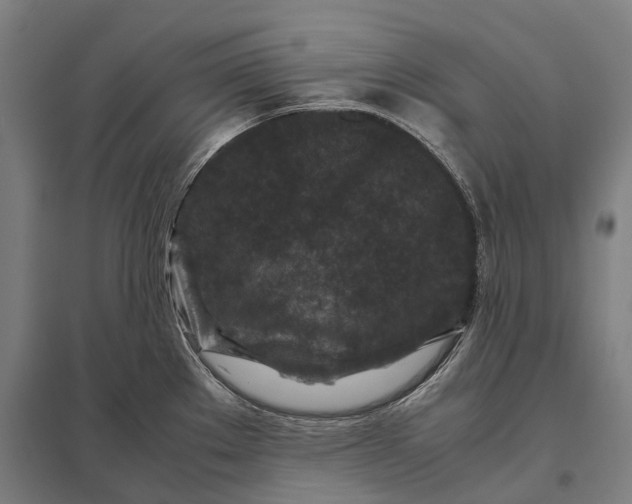 X0000097921289200803281417