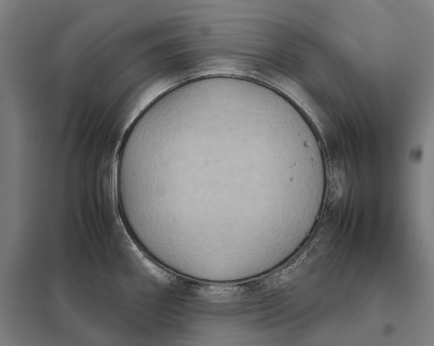 X0000097921290200803281417