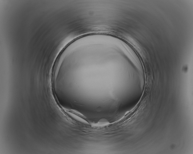 X0000097921291200803281417