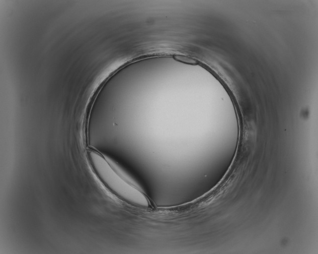 X0000097921293200803281417