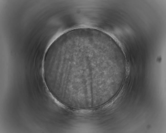 X0000097921294200803281417